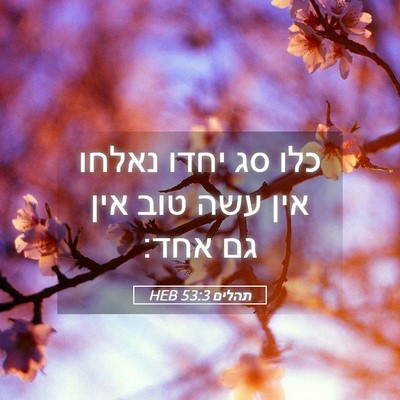 Picture 05 - תהלים 53:3 HEB - כלו סג יחדו נאלחו אין עשה - Bible Verse Picture