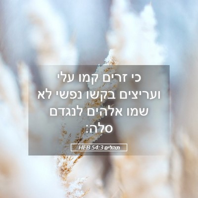 Picture 05 - תהלים 54:3 HEB - כי זרים קמו עלי ועריצים - Bible Verse Picture