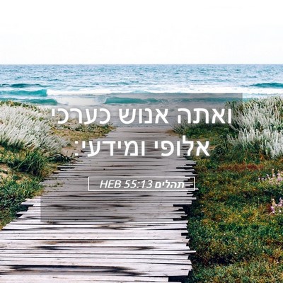 Picture 05 - תהלים 55:13 HEB - ואתה אנוש כערכי אלופי - Bible Verse Picture