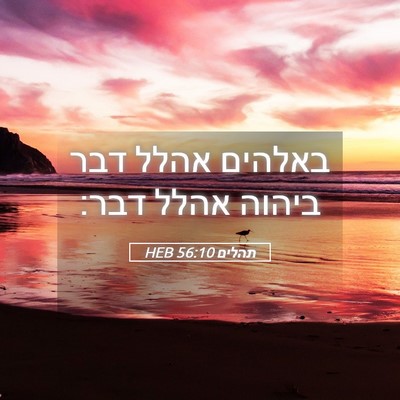 Picture 05 - תהלים 56:10 HEB - באלהים אהלל דבר ביהוה אהלל - Bible Verse Picture