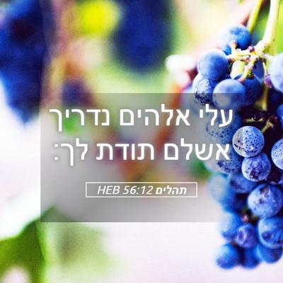 Picture 05 - תהלים 56:12 HEB - עלי אלהים נדריך אשלם תודת - Bible Verse Picture