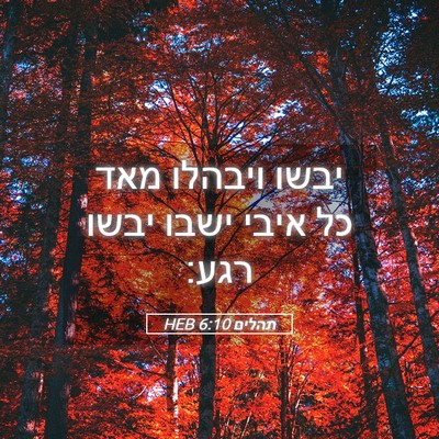 Picture 05 - תהלים 6:10 HEB - יבשו ויבהלו מאד כל איבי - Bible Verse Picture