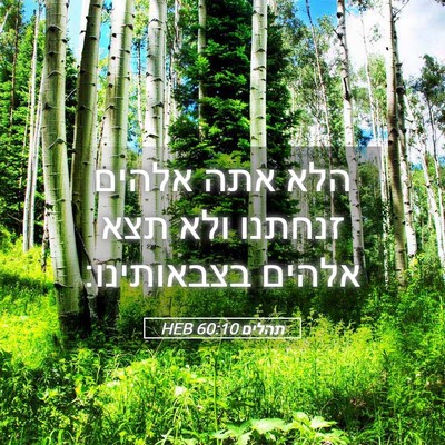 Picture 05 - תהלים 60:10 HEB - הלא אתה אלהים זנחתנו ולא - Bible Verse Picture
