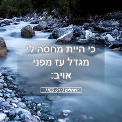 Picture 05 - תהלים 61:3 HEB - כי היית מחסה לי מגדל עז - Bible Verse Picture