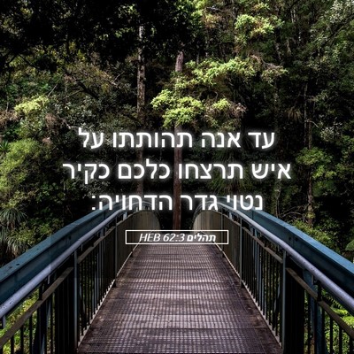 Picture 05 - תהלים 62:3 HEB - עד אנה תהותתו על איש תרצחו - Bible Verse Picture
