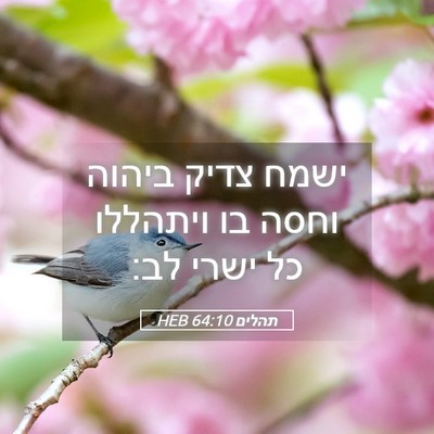 Picture 05 - תהלים 64:10 HEB - ישמח צדיק ביהוה וחסה בו - Bible Verse Picture