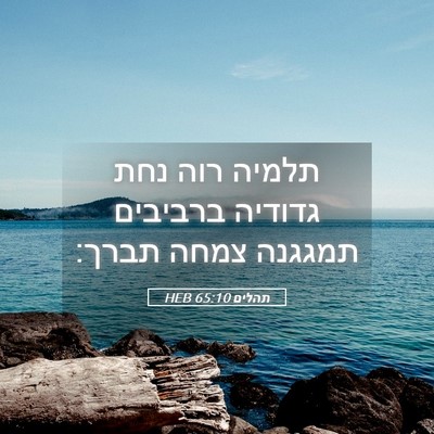 Picture 05 - תהלים 65:10 HEB - תלמיה רוה נחת גדודיה - Bible Verse Picture