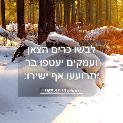 Picture 05 - תהלים 65:13 HEB - לבשו כרים הצאן ועמקים - Bible Verse Picture