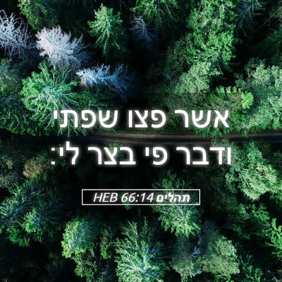 Picture 05 - תהלים 66:14 HEB - אשר פצו שפתי ודבר פי בצר - Bible Verse Picture