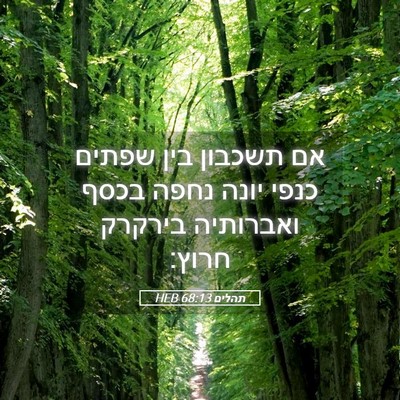 Picture 05 - תהלים 68:13 HEB - אם תשכבון בין שפתים כנפי - Bible Verse Picture