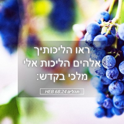 Picture 05 - תהלים 68:24 HEB - ראו הליכותיך אלהים הליכות - Bible Verse Picture