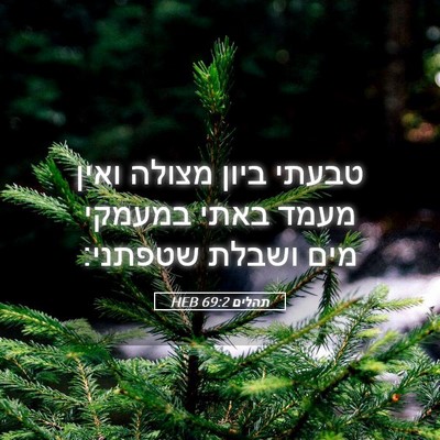 Picture 05 - תהלים 69:2 HEB - טבעתי ביון מצולה ואין מעמד - Bible Verse Picture