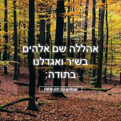 Picture 05 - תהלים 69:30 HEB - אהללה שם אלהים בשיר - Bible Verse Picture