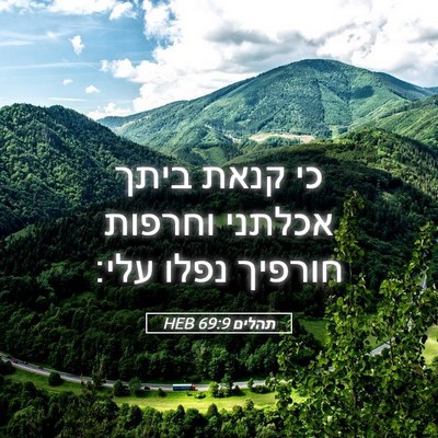 Picture 05 - תהלים 69:9 HEB - כי קנאת ביתך אכלתני וחרפות - Bible Verse Picture
