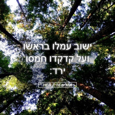 Picture 05 - תהלים 7:16 HEB - ישוב עמלו בראשו ועל קדקדו - Bible Verse Picture