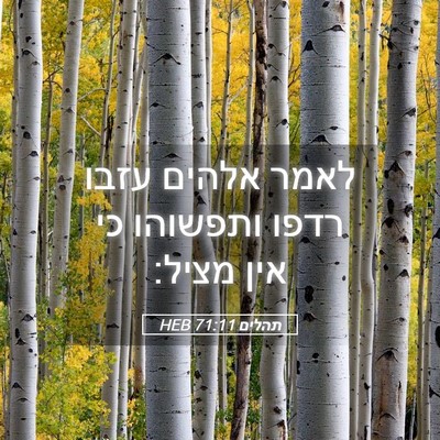 Picture 05 - תהלים 71:11 HEB - לאמר אלהים עזבו רדפו - Bible Verse Picture
