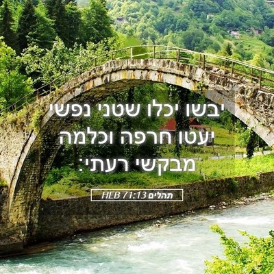 Picture 05 - תהלים 71:13 HEB - יבשו יכלו שטני נפשי יעטו - Bible Verse Picture