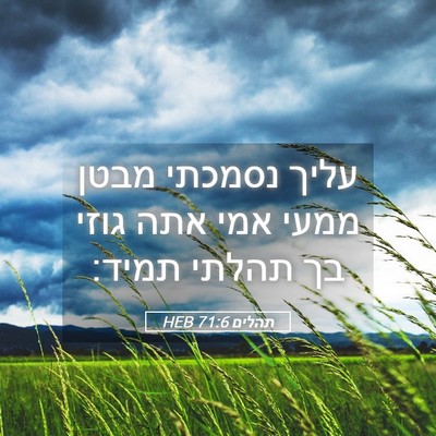 Picture 05 - תהלים 71:6 HEB - עליך נסמכתי מבטן ממעי אמי - Bible Verse Picture