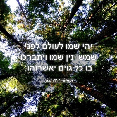Picture 05 - תהלים 72:17 HEB - יהי שמו לעולם לפני שמש ינין - Bible Verse Picture