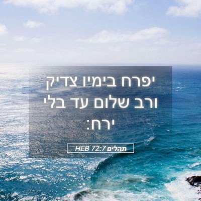Picture 05 - תהלים 72:7 HEB - יפרח בימיו צדיק ורב שלום עד - Bible Verse Picture