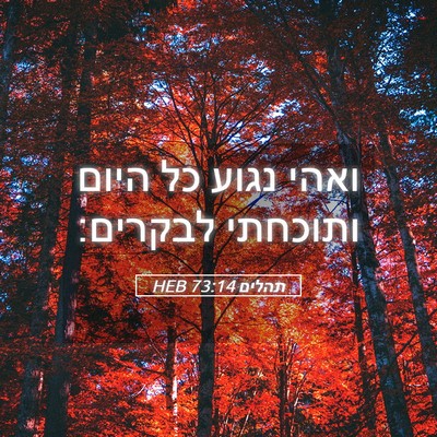 Picture 05 - תהלים 73:14 HEB - ואהי נגוע כל היום ותוכחתי - Bible Verse Picture