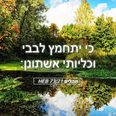 Picture 05 - תהלים 73:21 HEB - כי יתחמץ לבבי וכליותי - Bible Verse Picture