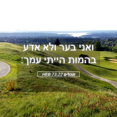 Picture 05 - תהלים 73:22 HEB - ואני בער ולא אדע בהמות - Bible Verse Picture