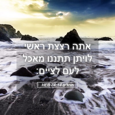 Picture 05 - תהלים 74:14 HEB - אתה רצצת ראשי לויתן תתננו - Bible Verse Picture