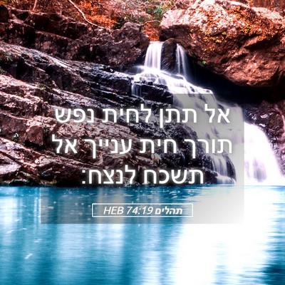 Picture 05 - תהלים 74:19 HEB - אל תתן לחית נפש תורך חית - Bible Verse Picture