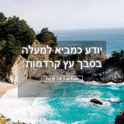 Picture 05 - תהלים 74:5 HEB - יודע כמביא למעלה בסבך עץ - Bible Verse Picture