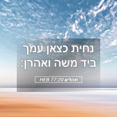 Picture 05 - תהלים 77:20 HEB - נחית כצאן עמך ביד משה - Bible Verse Picture