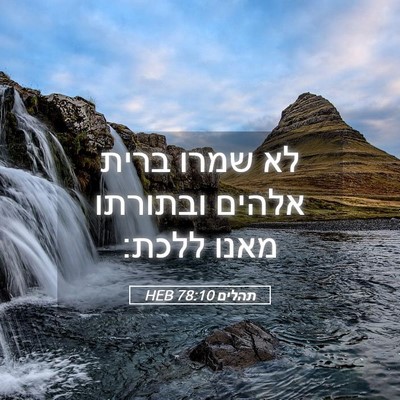 Picture 05 - תהלים 78:10 HEB - לא שמרו ברית אלהים ובתורתו - Bible Verse Picture