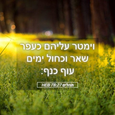 Picture 05 - תהלים 78:27 HEB - וימטר עליהם כעפר שאר וכחול - Bible Verse Picture