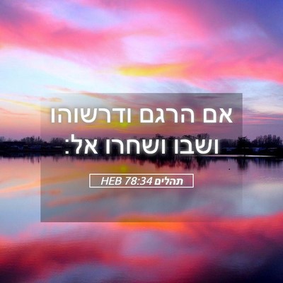 Picture 05 - תהלים 78:34 HEB - אם הרגם ודרשוהו ושבו ושחרו - Bible Verse Picture