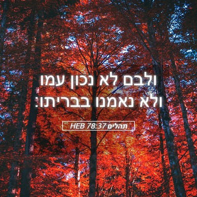 Picture 05 - תהלים 78:37 HEB - ולבם לא נכון עמו ולא נאמנו - Bible Verse Picture