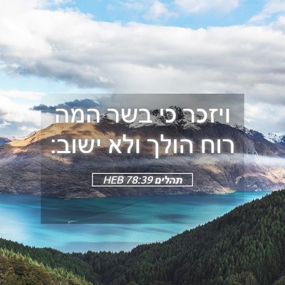 Picture 05 - תהלים 78:39 HEB - ויזכר כי בשר המה רוח הולך - Bible Verse Picture