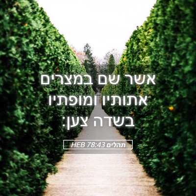 Picture 05 - תהלים 78:43 HEB - אשר שם במצרים אתותיו - Bible Verse Picture