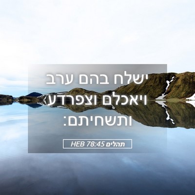 Picture 05 - תהלים 78:45 HEB - ישלח בהם ערב ויאכלם וצפרדע - Bible Verse Picture