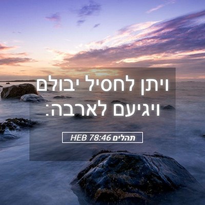 Picture 05 - תהלים 78:46 HEB - ויתן לחסיל יבולם ויגיעם - Bible Verse Picture