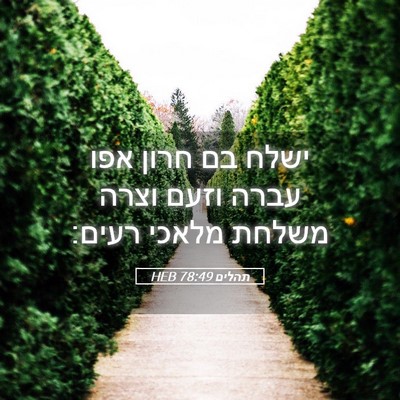Picture 05 - תהלים 78:49 HEB - ישלח בם חרון אפו עברה וזעם - Bible Verse Picture