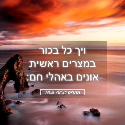 Picture 05 - תהלים 78:51 HEB - ויך כל בכור במצרים ראשית - Bible Verse Picture
