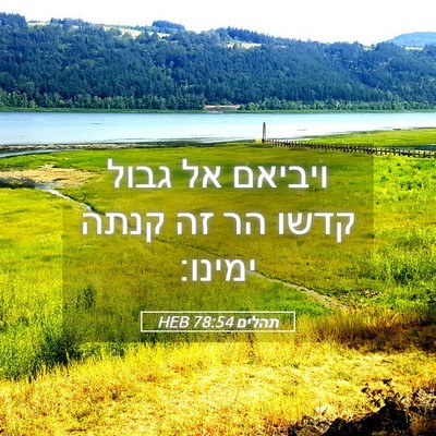 Picture 05 - תהלים 78:54 HEB - ויביאם אל גבול קדשו הר זה - Bible Verse Picture