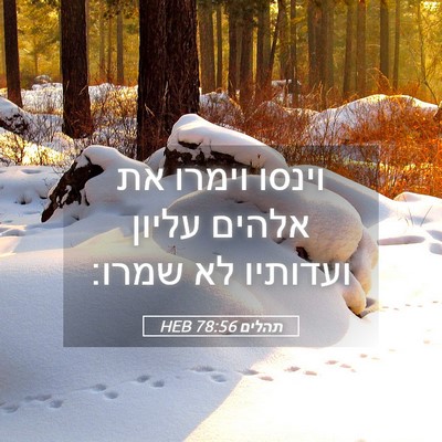 Picture 05 - תהלים 78:56 HEB - וינסו וימרו את אלהים עליון - Bible Verse Picture