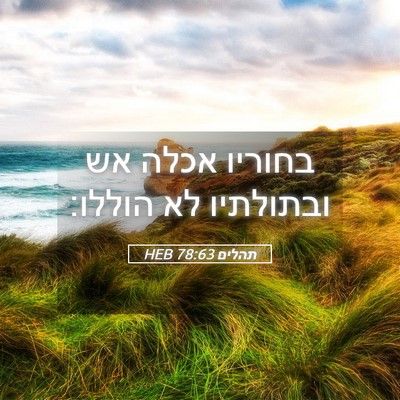 Picture 05 - תהלים 78:63 HEB - בחוריו אכלה אש ובתולתיו לא - Bible Verse Picture
