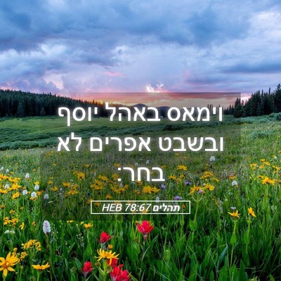 Picture 05 - תהלים 78:67 HEB - וימאס באהל יוסף ובשבט - Bible Verse Picture