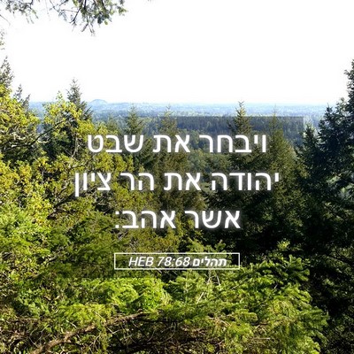 Picture 05 - תהלים 78:68 HEB - ויבחר את שבט יהודה את הר - Bible Verse Picture