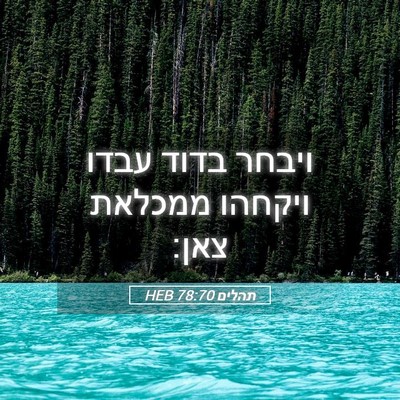 Picture 05 - תהלים 78:70 HEB - ויבחר בדוד עבדו ויקחהו - Bible Verse Picture