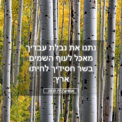 Picture 05 - תהלים 79:2 HEB - נתנו את נבלת עבדיך מאכל - Bible Verse Picture