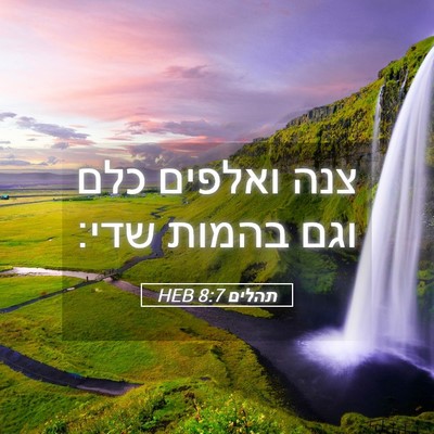 Picture 05 - תהלים 8:7 HEB - צנה ואלפים כלם וגם בהמות - Bible Verse Picture