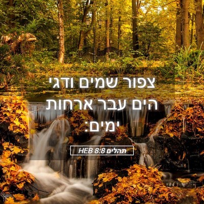 Picture 05 - תהלים 8:8 HEB - צפור שמים ודגי הים עבר - Bible Verse Picture